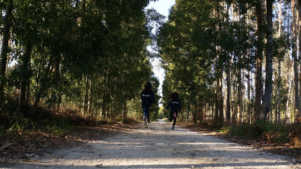 Forest Terrace برايا دي ميرا المظهر الخارجي الصورة